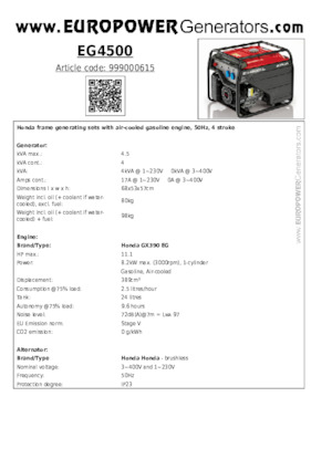 गैसोलीन पावर जनरेटर Europower EG4500