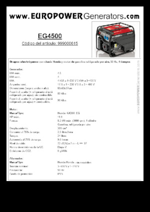 गैसोलीन पावर जनरेटर Europower EG4500