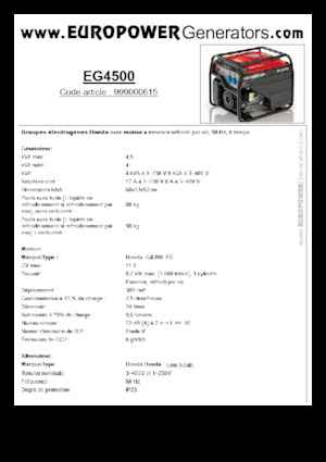 गैसोलीन पावर जनरेटर Europower EG4500