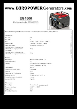 गैसोलीन पावर जनरेटर Europower EG4500