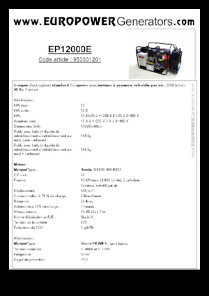 गैसोलीन पावर जनरेटर Europower EP12000E (S)