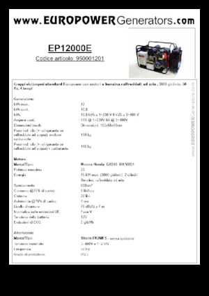 गैसोलीन पावर जनरेटर Europower EP12000E (S)