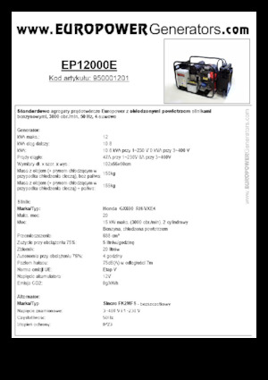 गैसोलीन पावर जनरेटर Europower EP12000E (S)