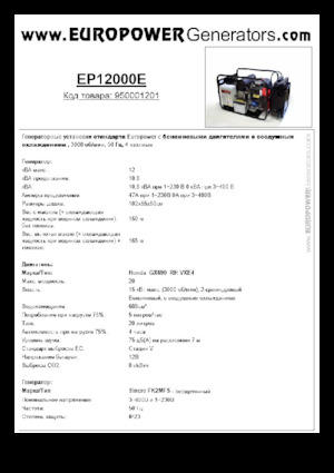 गैसोलीन पावर जनरेटर Europower EP12000E (S)
