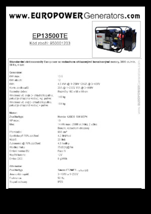 गैसोलीन पावर जनरेटर Europower EP13500TE (S)