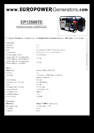 गैसोलीन पावर जनरेटर Europower EP13500TE (S)
