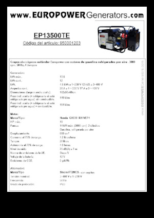 गैसोलीन पावर जनरेटर Europower EP13500TE (S)