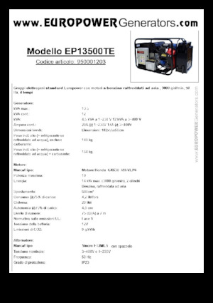 गैसोलीन पावर जनरेटर Europower EP13500TE (S)