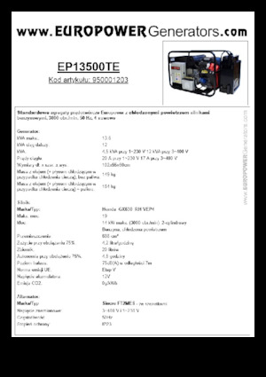 गैसोलीन पावर जनरेटर Europower EP13500TE (S)