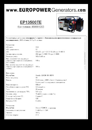 गैसोलीन पावर जनरेटर Europower EP13500TE (S)