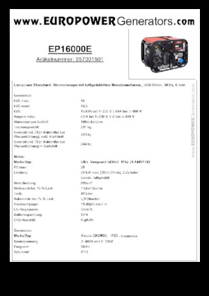 गैसोलीन पावर जनरेटर Europower EP16000E (S)