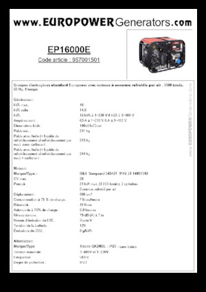 गैसोलीन पावर जनरेटर Europower EP16000E (S)