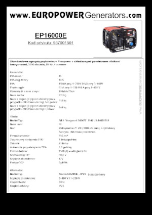 गैसोलीन पावर जनरेटर Europower EP16000E (S)