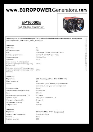 गैसोलीन पावर जनरेटर Europower EP16000E (S)