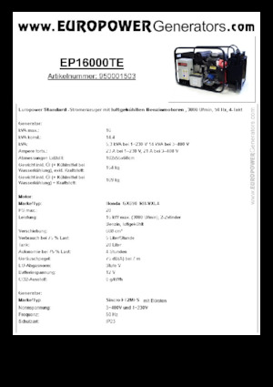 गैसोलीन पावर जनरेटर Europower EP16000TE (S)