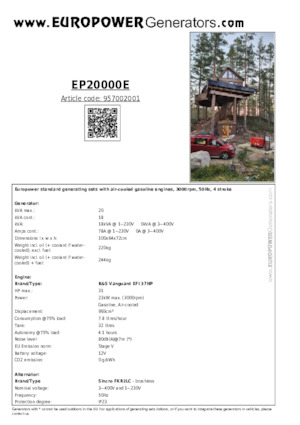 गैसोलीन पावर जनरेटर Europower EP20000E (S)