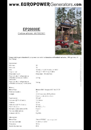 गैसोलीन पावर जनरेटर Europower EP20000E (S)