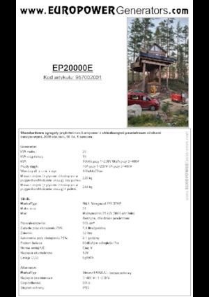 गैसोलीन पावर जनरेटर Europower EP20000E (S)