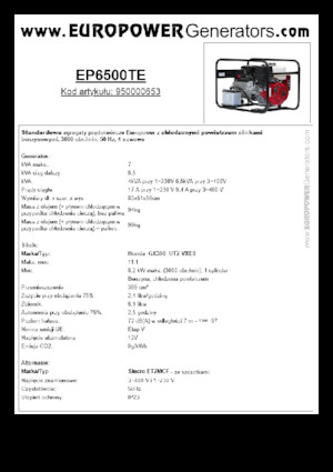 गैसोलीन पावर जनरेटर Europower EP6500TE (S)