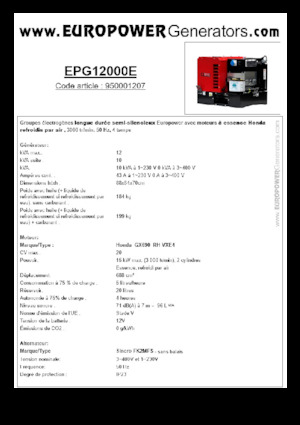 गैसोलीन पावर जनरेटर Europower EPG12000E (S)