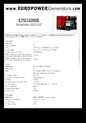 गैसोलीन पावर जनरेटर Europower EPG12000E (S)