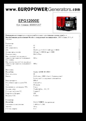 गैसोलीन पावर जनरेटर Europower EPG12000E (S)