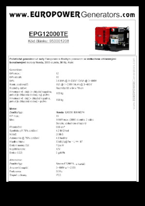 गैसोलीन पावर जनरेटर Europower EPG12000TE (S)