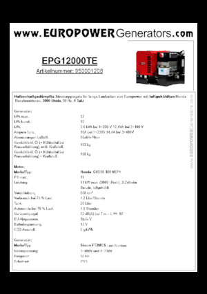 गैसोलीन पावर जनरेटर Europower EPG12000TE (S)