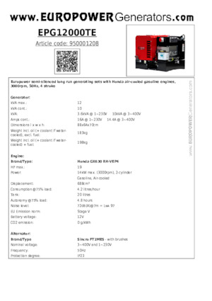 गैसोलीन पावर जनरेटर Europower EPG12000TE (S)