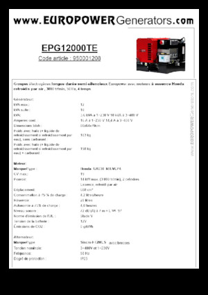 गैसोलीन पावर जनरेटर Europower EPG12000TE (S)
