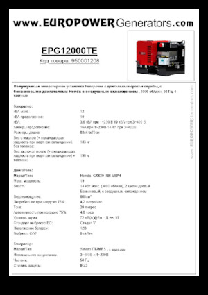 गैसोलीन पावर जनरेटर Europower EPG12000TE (S)