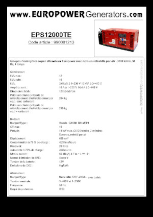 गैसोलीन पावर जनरेटर Europower EPS12000TE (MA)