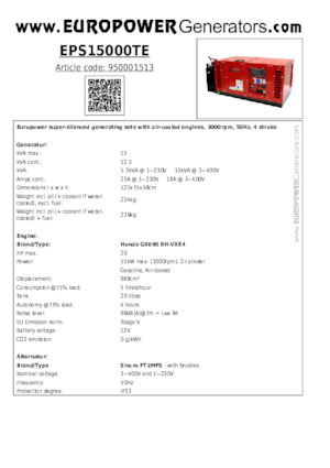 गैसोलीन पावर जनरेटर Europower EPS15000TE (S)