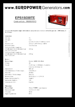 गैसोलीन पावर जनरेटर Europower EPS15000TE (S)