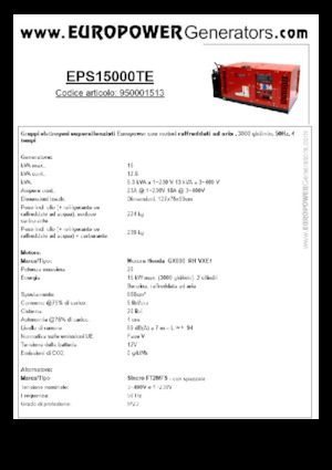 गैसोलीन पावर जनरेटर Europower EPS15000TE (S)