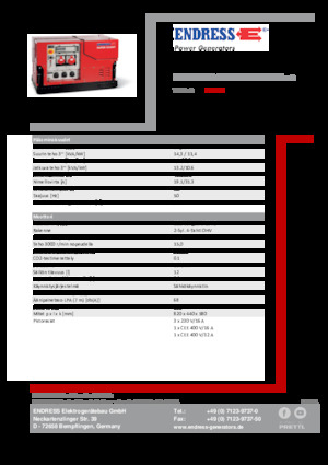 गैसोलीन पावर जनरेटर Endress ESE 1308 DBG ES ISO Duplex Silent