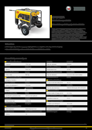 गैसोलीन पावर जनरेटर Wacker Neuson GP3800A
