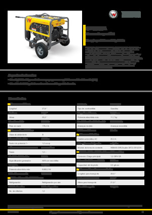 गैसोलीन पावर जनरेटर Wacker Neuson GP5600A