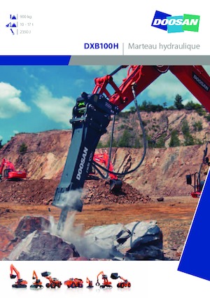 हाइड्रोलिक ब्रेकर Doosan DXB100H