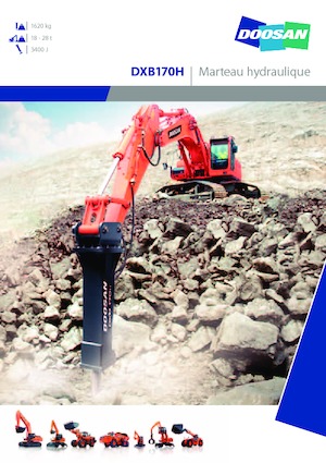 हाइड्रोलिक ब्रेकर Doosan DXB170H