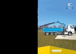 हाइड्रोलिक लोडिंग क्रेन Effer 175.2 6S 