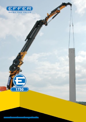 हाइड्रोलिक लोडिंग क्रेन Effer 1750 L8S
