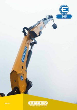 हाइड्रोलिक लोडिंग क्रेन Effer 205 C4S