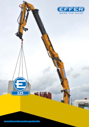हाइड्रोलिक लोडिंग क्रेन Effer 225 3S