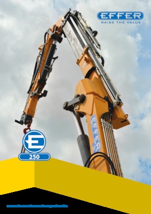 हाइड्रोलिक लोडिंग क्रेन Effer 250 6S