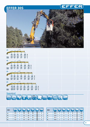 हाइड्रोलिक लोडिंग क्रेन Effer 305.11 6S
