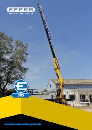 हाइड्रोलिक लोडिंग क्रेन Effer 305 5S