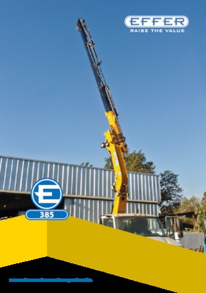 हाइड्रोलिक लोडिंग क्रेन Effer 385 4S