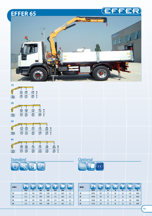 हाइड्रोलिक लोडिंग क्रेन Effer 65 2S