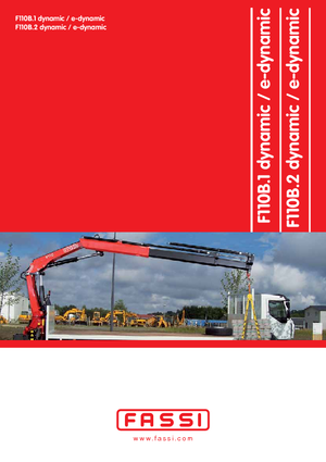 हाइड्रोलिक लोडिंग क्रेन Fassi F 110 B 2.24 e-dynamic